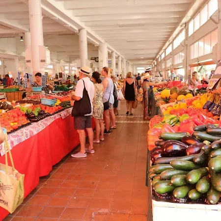 Apartman 2 Bedroom Forville. 8 Mins From The Palais. 328 *